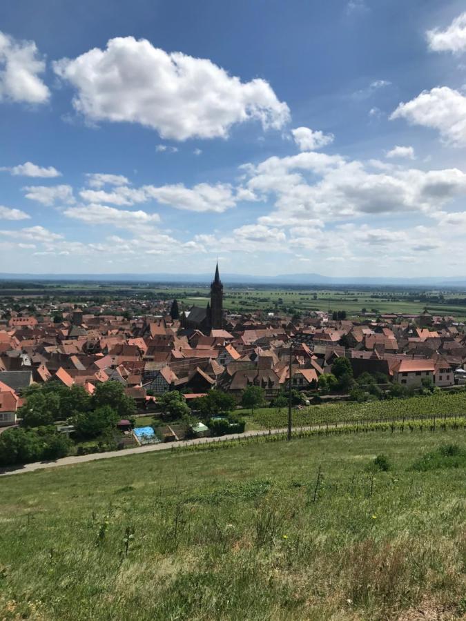 Gite Les Cles Des Vignes Dambach Exterior foto